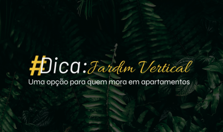 Jardim Vertical: Uma opção para quem mora em apartamento